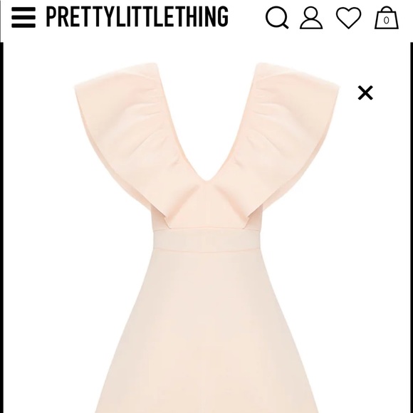 Pink nude skater dress - Picture 5 of 9